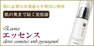 エッセンス