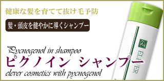 ピクノイン　シャンプー